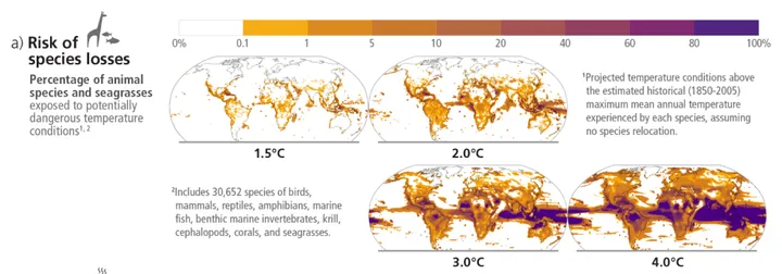 Risk of species losses from climate change